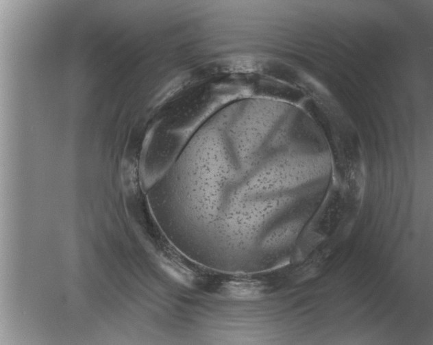 X0000080180556200612302248