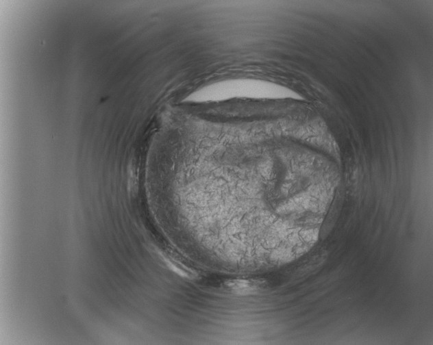 X0000080180558200612302248