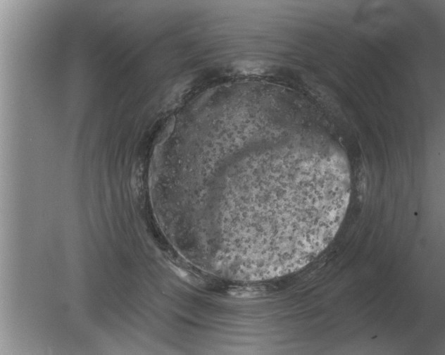 X0000080180559200612302248