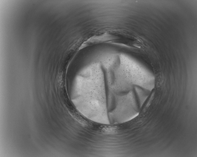 X0000080180560200612302248