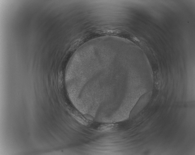 X0000080180563200612302248