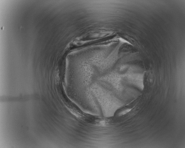 X0000080180564200612302248