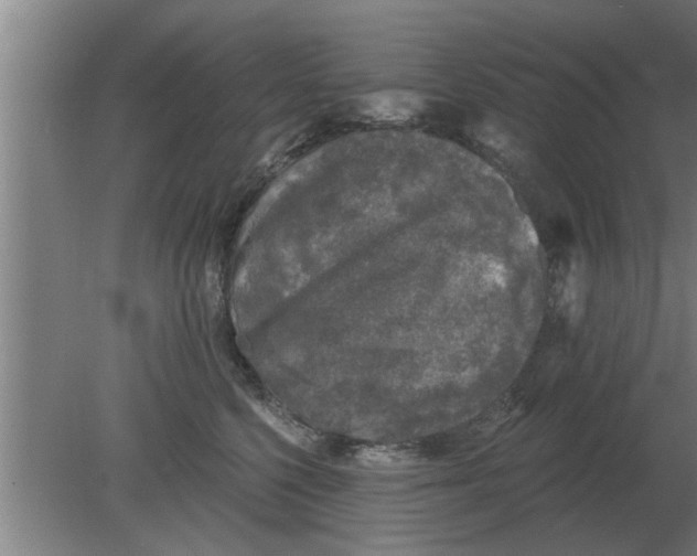 X0000080180568200612302248