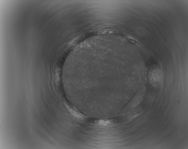 X0000080180570200612302248