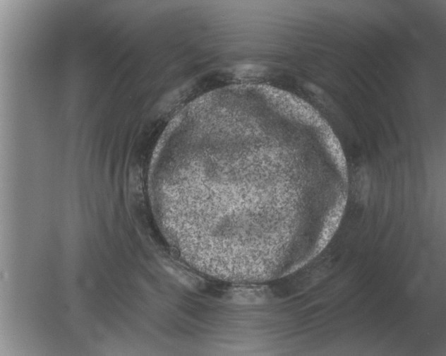 X0000080180571200612302248