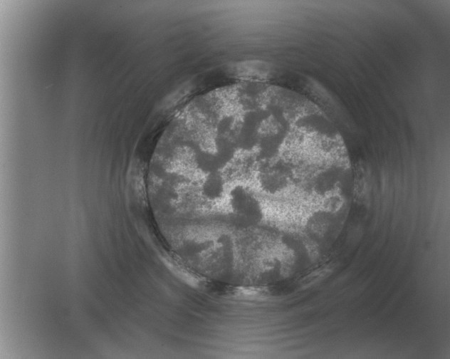 X0000080180573200612302248