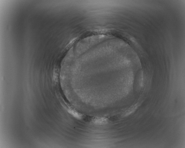 X0000080180576200612302248