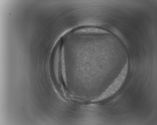 X0000080180580200612302247