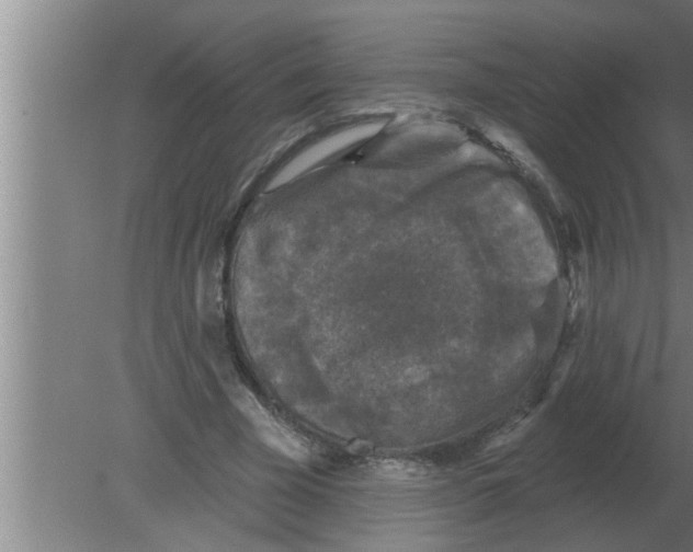 X0000080180585200612302247