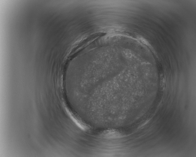 X0000080180589200612302247