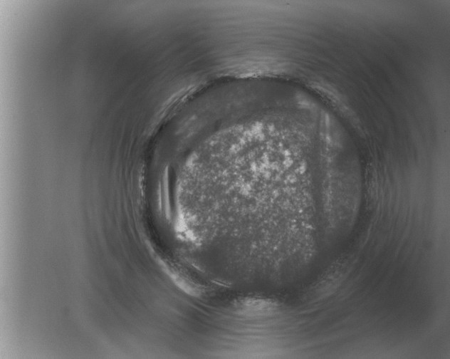 X0000080180590200612302247