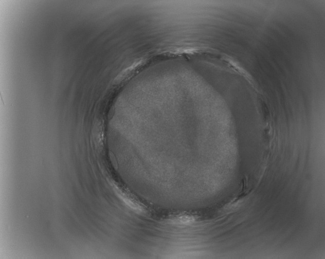 X0000080180593200612302247