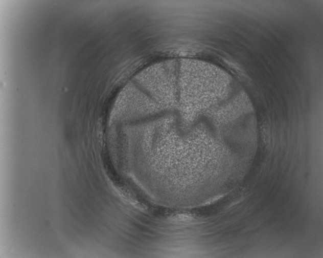 X0000080180594200612302247