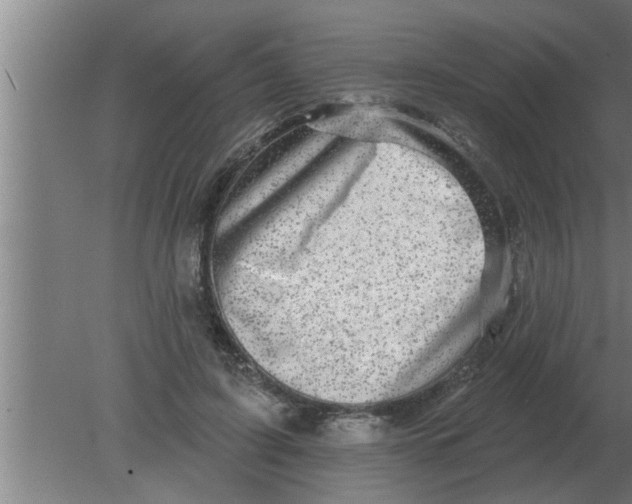 X0000080180595200612302247