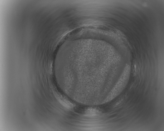 X0000080180596200612302247