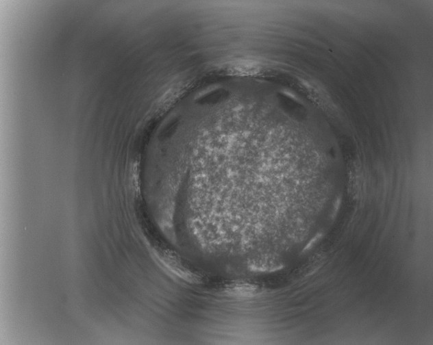 X0000080180598200612302247