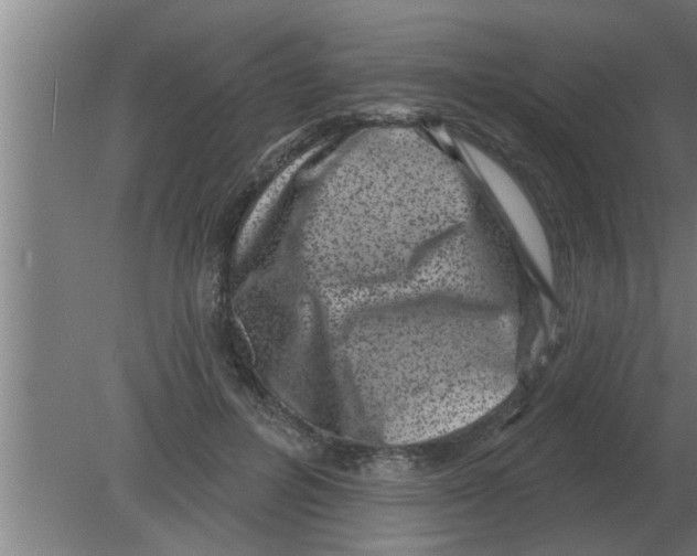 X0000080180600200612302247