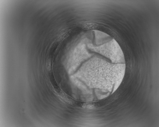 X0000080180602200612302247