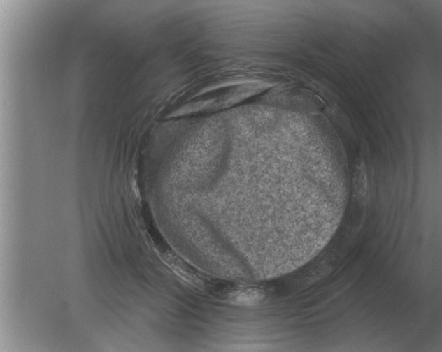 X0000080180604200612302247