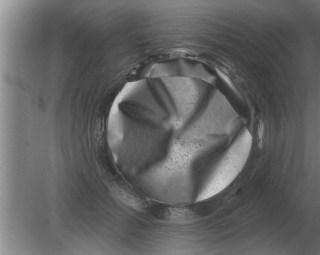 X0000080180605200612302247