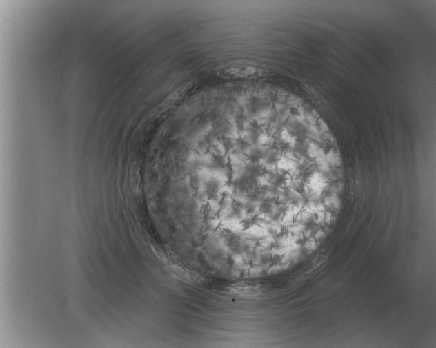 X0000080180606200612302247