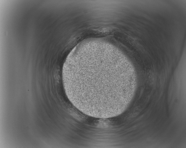 X0000080180612200612302247