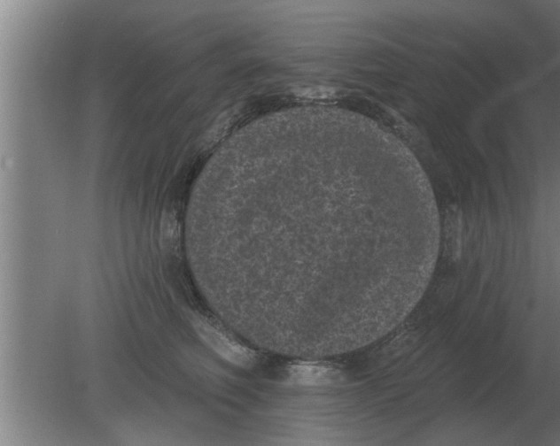 X0000080180614200612302247