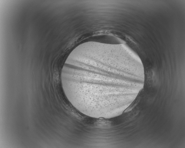 X0000080180617200612302247