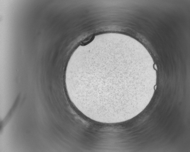 X0000080180625200612302246