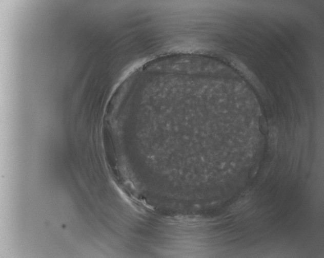 X0000080180626200612302246