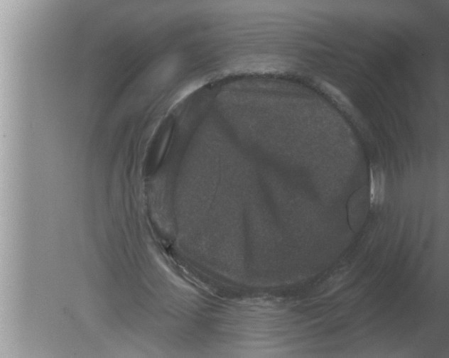 X0000080180627200612302246