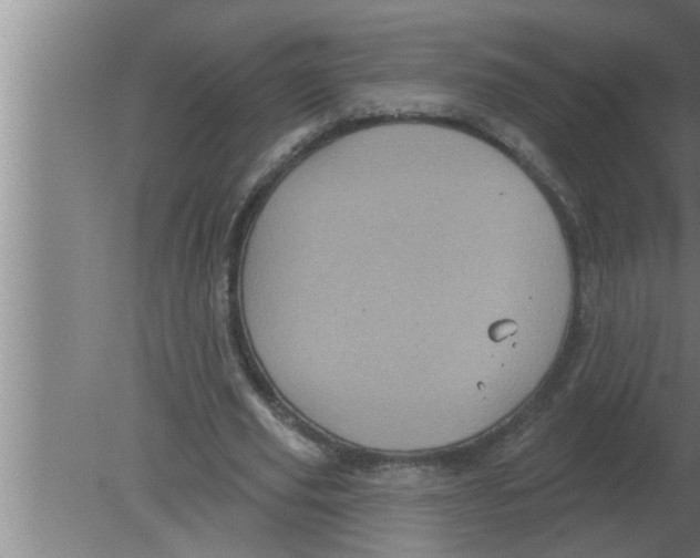 X0000080180629200612302246