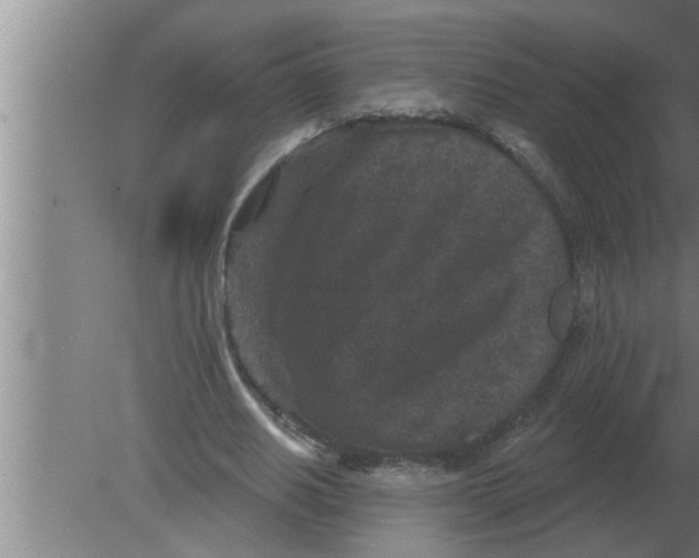 X0000080180630200612302246