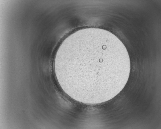 X0000080180632200612302246