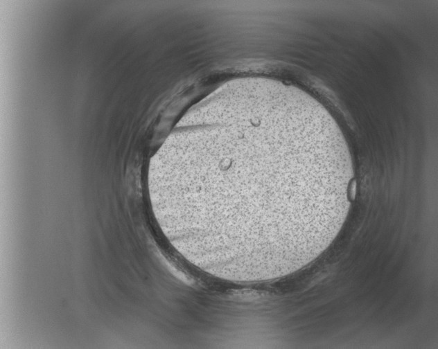 X0000080180633200612302246