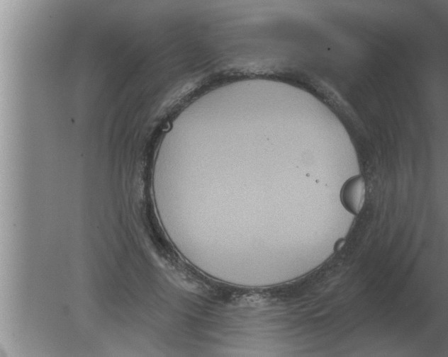 X0000080180635200612302246