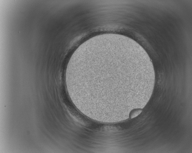 X0000080180636200612302246