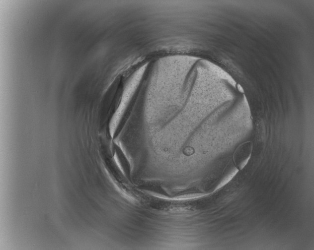 X0000080180638200612302246