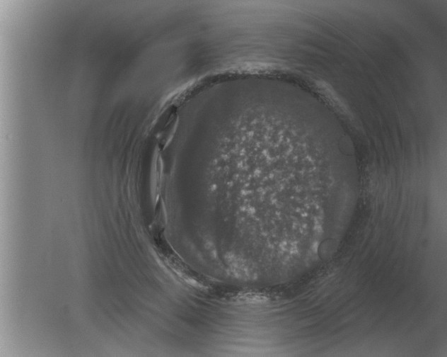 X0000080180640200612302246