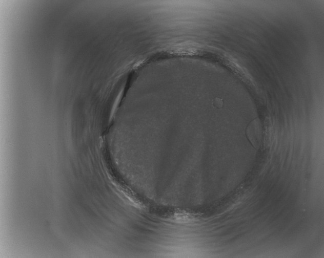 X0000080180641200612302246