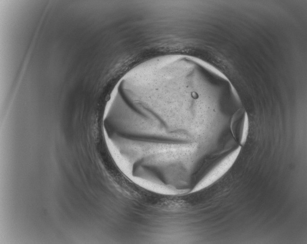 X0000080180642200612302246