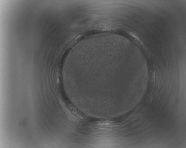 X0000080180643200612302246