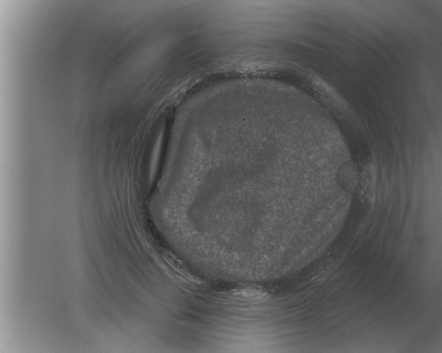 X0000080180644200612302246