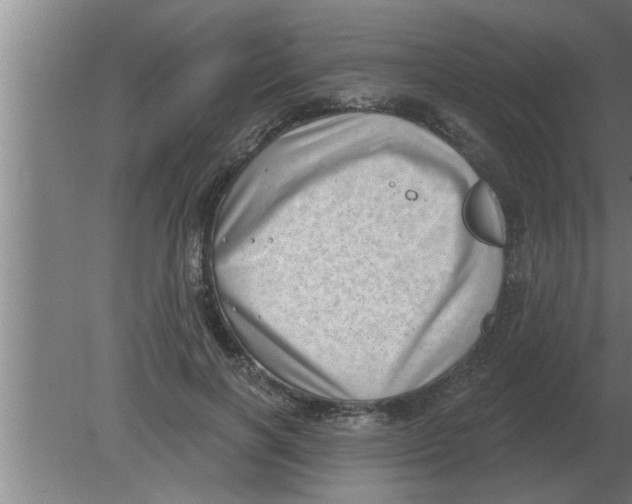 X0000080180646200612302246