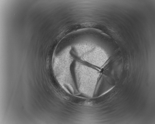 X0000080180647200612302246