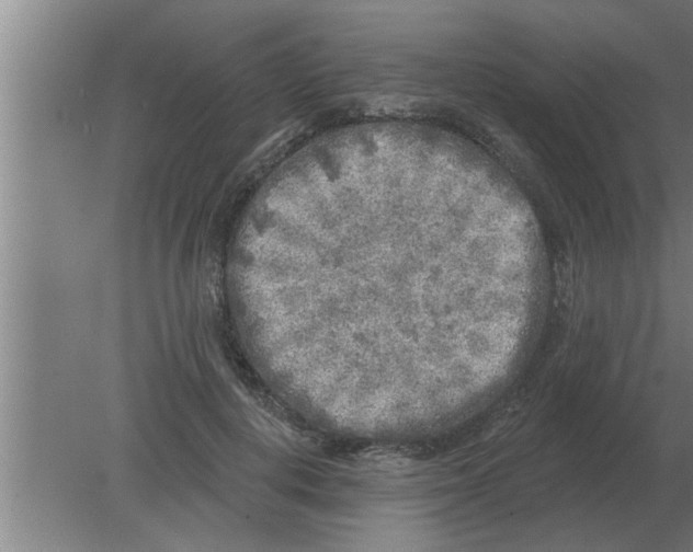 X0000080180648200612302246