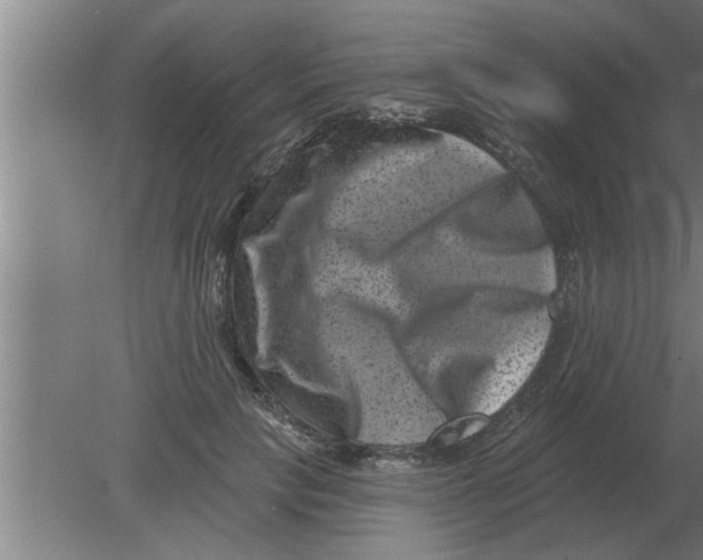 X0000080180649200612302246