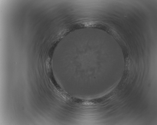 X0000080180650200612302246