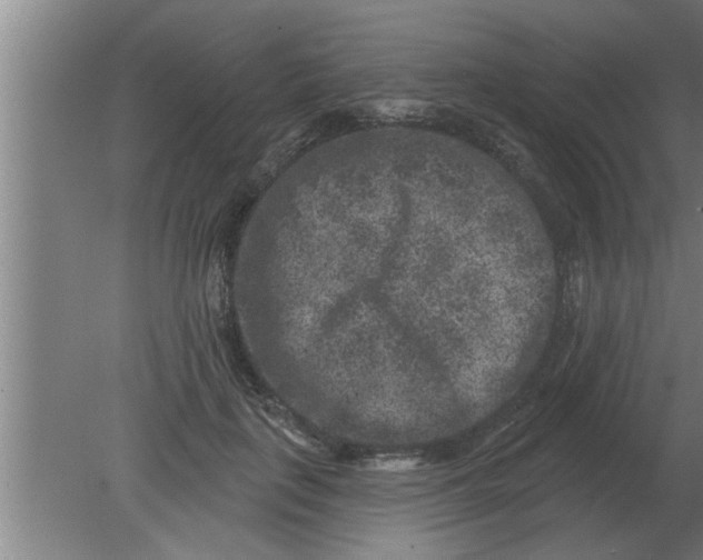 X0000080180651200612302246