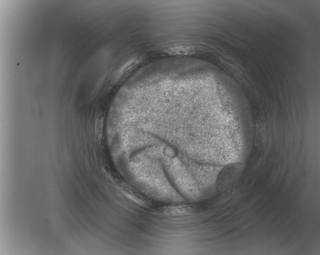 X0000080180652200612302246